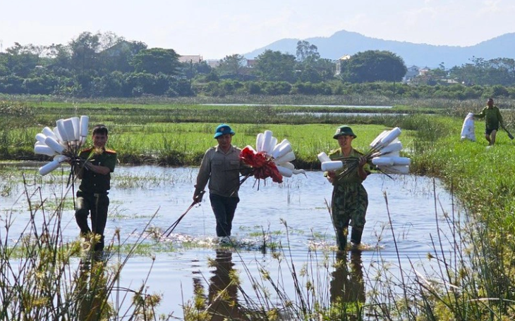 Giăng bẫy chim trời: Xử lý nghiêm hành vi tận diệt môi trường xanh- Ảnh 3.