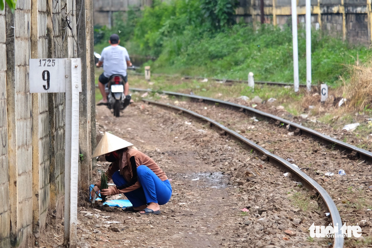 Một vị trí đường ray chưa có rào chắn, người dân vô tư chạy xe, trồng cây ven đường ray