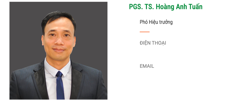 Thông tin PGS.TS Hoàng Anh Tuấn giữ chức vụ phó hiệu trưởng Trường đại học Đông Á, trên website trường - Ảnh chụp màn hình