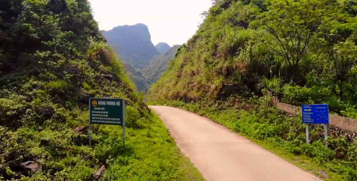 Đường vào khu rừng phòng hộ Tam Điệp, tỉnh Ninh Bình - Ảnh: M.CƯỜNG