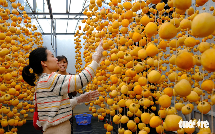 Du khách tham quan, tìm hiểu quy trình sản xuất hồng treo gió dọc tuyến đường nối trung tâm Đà Lạt với vùng Cầu Đất (xã Xuân Trường) - Ảnh: MINH AN