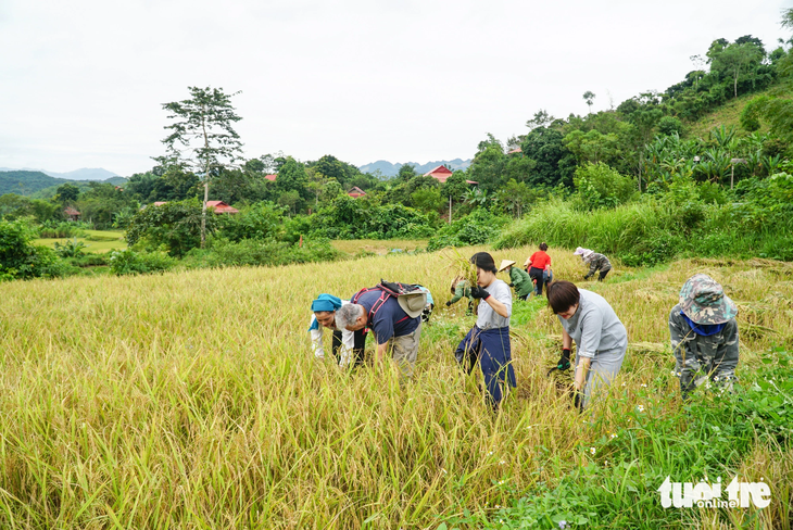 Hoạt động thường ngày của bà con dân bản lại trở thành trải nghiệm thú vị của du khách phương xa - Ảnh: NGUYỄN HIỀN