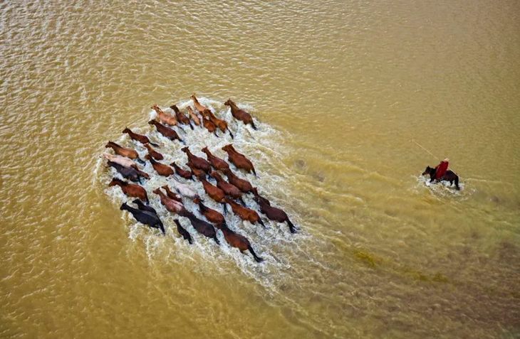 Sông Orkhon, Mông Cổ - Ảnh: GETTY IMAGES