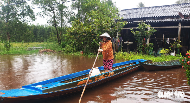 Mưa lớn kèm triều cường nên nhiều nhà cửa, ruộng vườn của người dân Cà Mau chìm trong nước - Ảnh: THANH HUYỀN