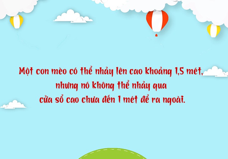 Câu đố hack não: Cá gì nghe tên đã thấy vui? - Ảnh 10.