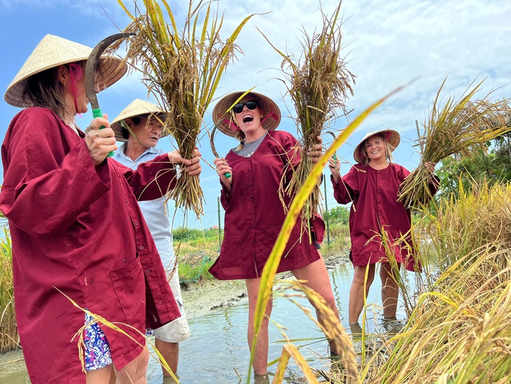 Khách quốc tế trải nghiệm tour sông nước, ruộng đồng tại Hội An - Ảnh: K.T.