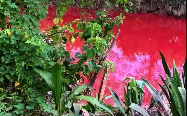 Chất lỏng như máu nhuộm đỏ nhiều đoạn đường ở Thái Nguyên - Ảnh 5.