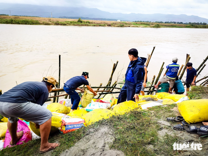 Cán bộ và người dân địa phương dùng cọc tre, bao cát chèn chống sạt lở - Ảnh: PHAN MƠ 