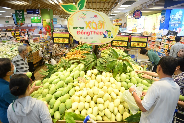 Chương trình &quot;Tuần hàng xoài Đồng Tháp&quot; là một trong những hoạt động kết nối giữa Saigon Co.op với Sở Công Thương tỉnh Đồng Tháp - Ảnh: QUANG ĐỊNH