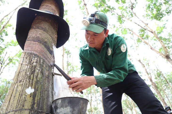 Anh Trương Văn Tiến (34 tuổi) - công nhân Nông trường cao su Suối Đá (Công ty CP Cao su Sa Thầy, huyện Ia H'Đrai, Kon Tum) - Ảnh: TRUNG TÂN