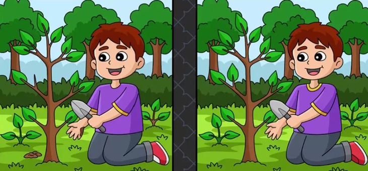 Thử tài tinh mắt: Con mèo đang ẩn nấp ở đâu? - Ảnh 7. Thử tài tinh mắt: Con mèo đang ẩn nấp ở đâu? - Ảnh 7.