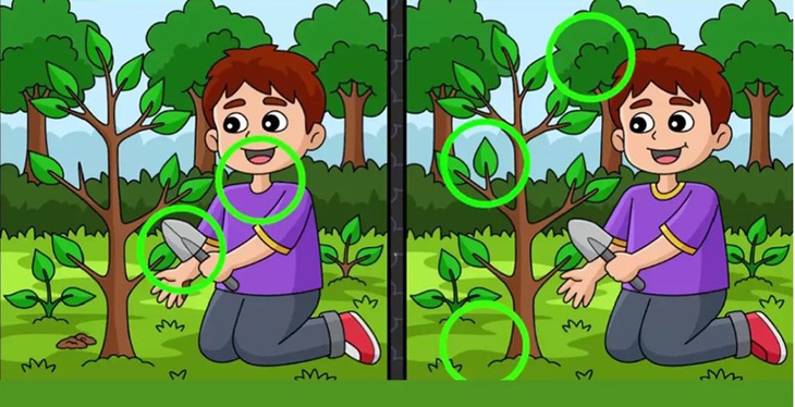 Thử tài tinh mắt: Con mèo đang ẩn nấp ở đâu? - Ảnh 1.