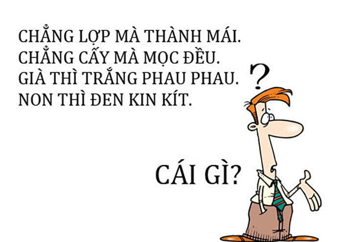 Câu đố hack não: Cái gì nấu thì được, nướng thì không? - Ảnh 7.