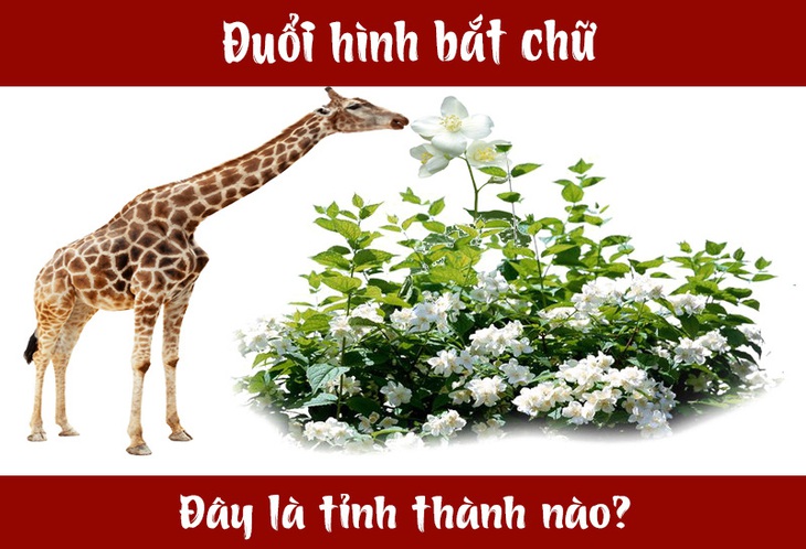 IQ cao có đoán được đây là tỉnh thành nào nước ta? (P30) - Ảnh 1.