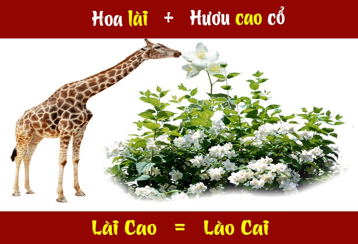 IQ cao có đoán được đây là tỉnh thành nào nước ta? (P30) - Ảnh 1.