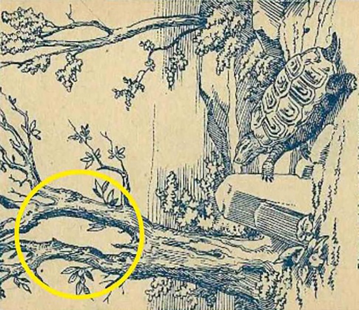 Chỉ thiên tài mới thấy con thỏ ẩn giấu trong tranh- Ảnh 2.