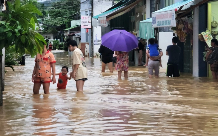 Phương án xử lý hậu quả cây mọc trái thiết kế dự án hơn 593 tỉ đồng ở Nha Trang  - Ảnh 2.