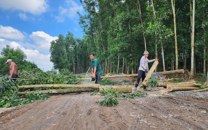 Dự án cao tốc Biên Hòa - Vũng Tàu: Giá đất bồi thường cao nhất 12,3 triệu đồng