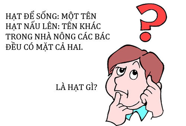 Con gì không mắt, không tai, có đầu có đuôi, ai ai cũng nhờ?- Ảnh 5.