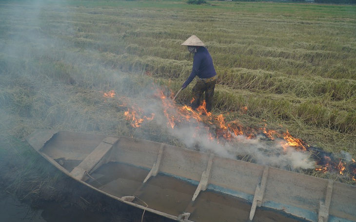 Nông dân phấn khởi vì giá lúa cao chưa từng có