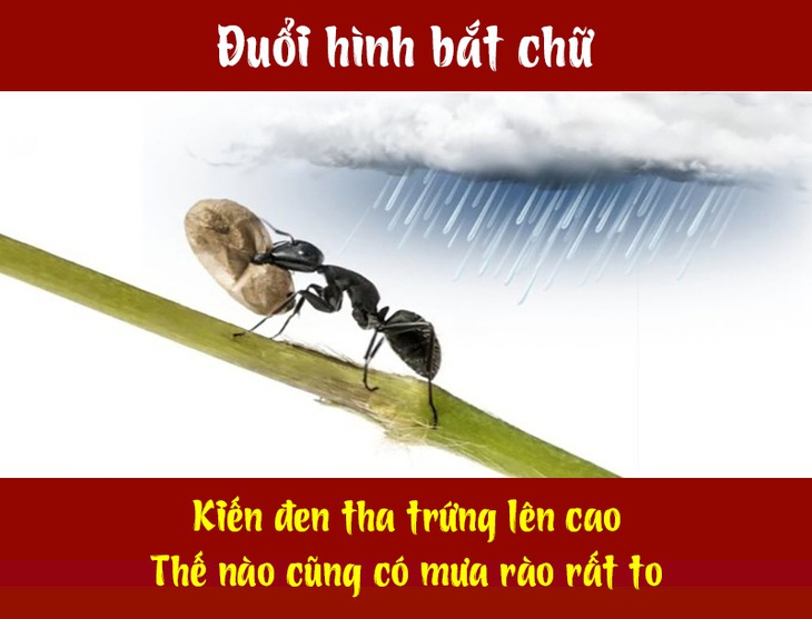 IQ cao có đoán được đây là câu tục ngữ, thành ngữ gì? (P11)- Ảnh 2.