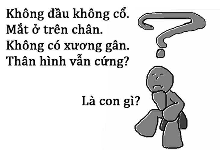 Câu đố hack não: Con gì không đầu, không cổ, mắt ở trên thân? - Ảnh 1.