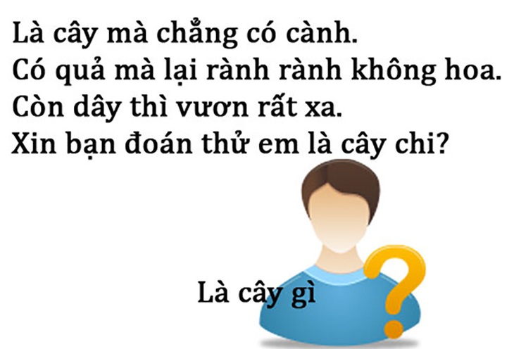 Câu đố hack não: Con gì không đầu, không cổ, mắt ở trên thân? - Ảnh 10.