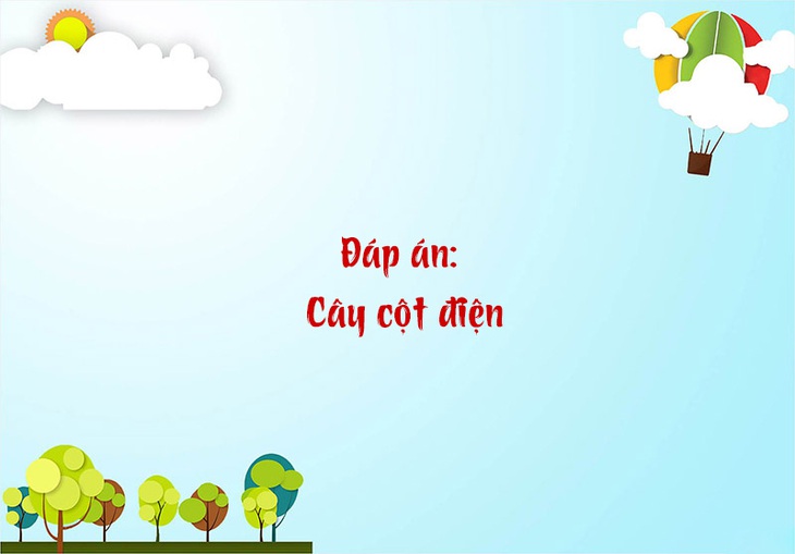 Câu đố hack não: Con gì không đầu, không cổ, mắt ở trên thân? - Ảnh 1.