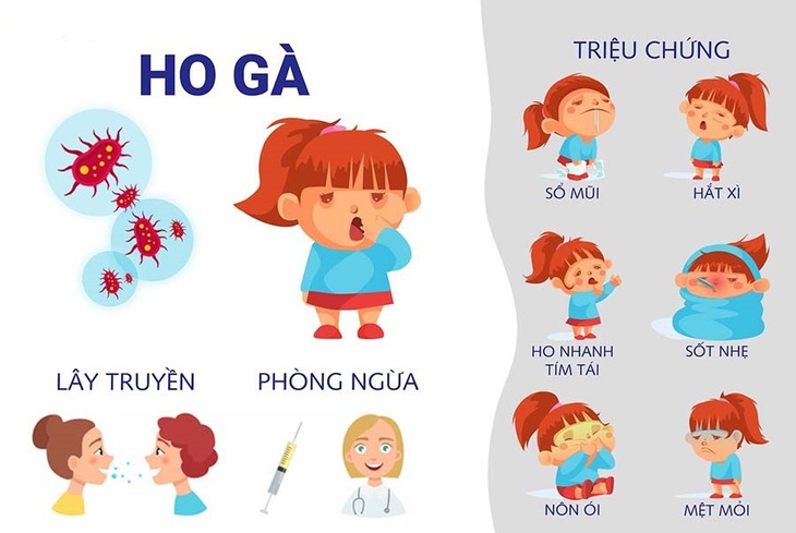 Các chuyên gia khuyến cáo biểu hiện của bệnh ho gà - Ảnh minh họa