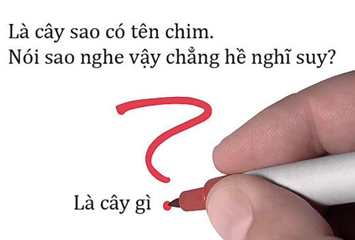 Câu đố hack não: Cái gì lắm chân tay, không đuôi mà có hai đầu? - Ảnh 7.