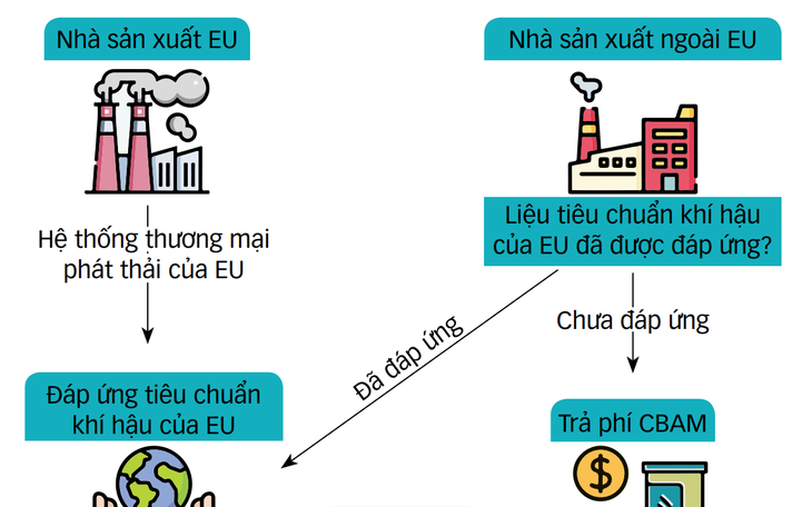 Ứng phó 'thuế carbon', giải pháp trước mắt và lâu dài