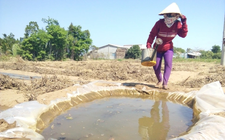 Các tỉnh thành hạ nguồn sông Tiền đang lo hạn mặn đến sớm