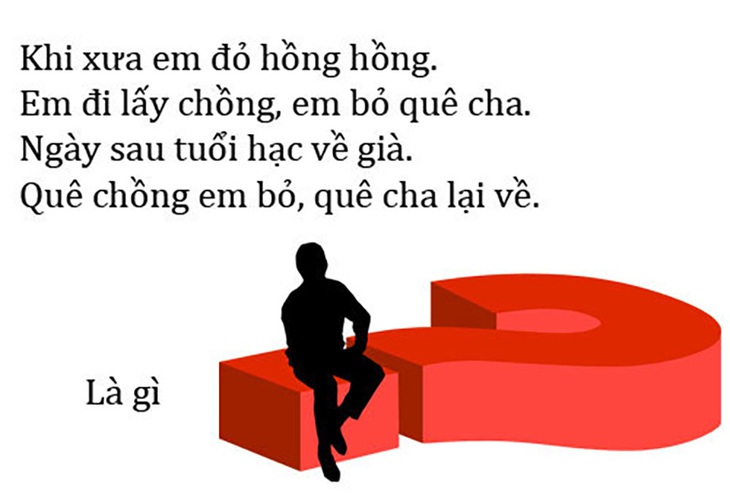 Câu đố hack não: Cái gì có răng mà không có miệng? - Ảnh 7.