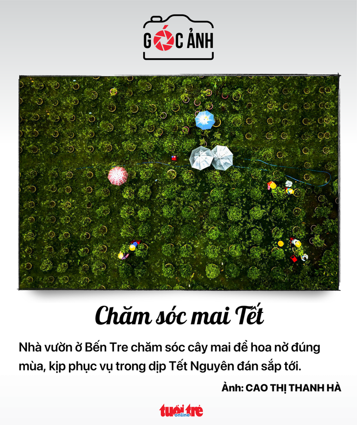 Tin tức sáng 9-11: - Ảnh 2.