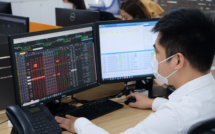 Đình chỉ giao dịch với cổ phiếu Tập đoàn Lộc Trời, Rạng Đông Holding - Ảnh 2.