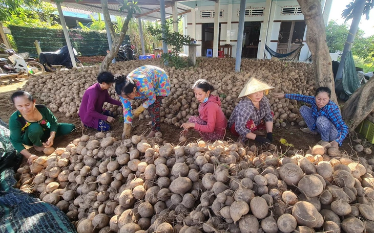 Củ sắn có đặc biệt tốt cho trẻ em đang cần phát triển chiều cao? - Ảnh 2.