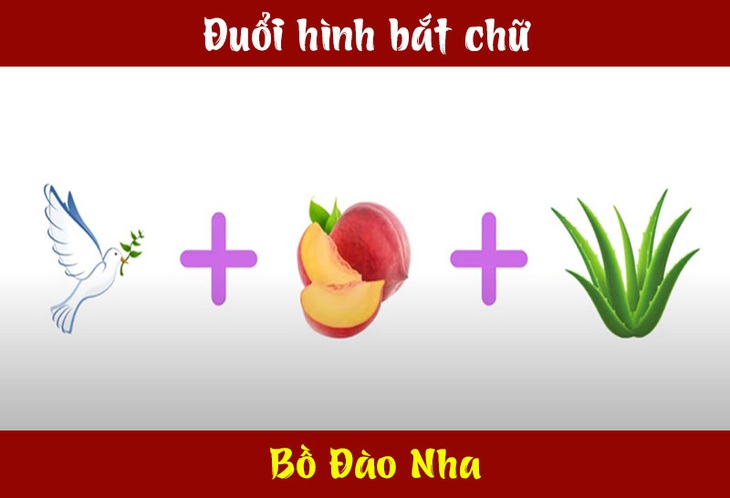 Đuổi hình bắt chữ: Đây là tên quốc gia nào? (P5)- Ảnh 6.