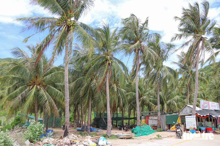 Khu đất do người dân hiến tặng cho Chi hội Người cao tuổi thôn Vĩnh Hy xảy ra tranh chấp nhiều năm - Ảnh: DUY NGỌC