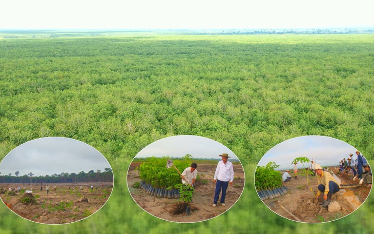 Kỳ tích cao su Việt trên nước bạn Lào - Kỳ 6: Chuyện tình đẹp Việt - Lào dưới đại ngàn cao su - Ảnh 3.