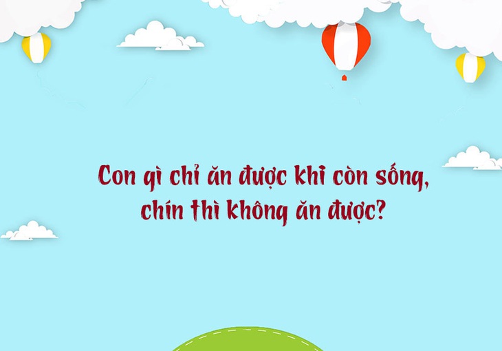 Câu đố hack não: Con gì ai cũng gọi bằng 'Ông'?- Ảnh 3.