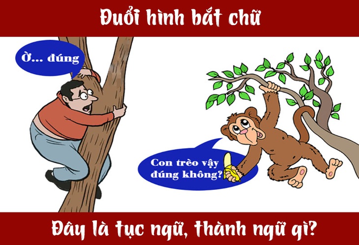 IQ cao có đoán được đây là câu tục ngữ, thành ngữ gì? (P25)- Ảnh 1. IQ cao có đoán được đây là câu tục ngữ, thành ngữ gì? (P25)- Ảnh 1.