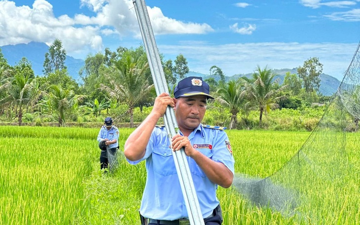 Chim yến bị truy sát khốc liệt, Khánh Hòa phải lập đội liên ngành bảo vệ