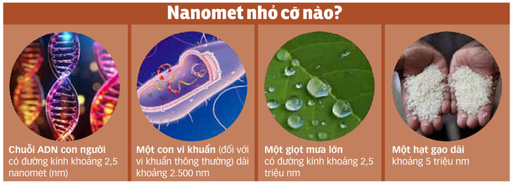 Nguồn: NIKKEI ASIA - Dữ liệu: BÌNH AN - Trình bày: N.KH.