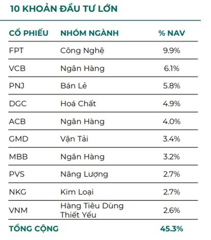 Một quỹ thuộc Dragon Capital công bố hiệu suất cao gấp đôi VN-Index- Ảnh 2.