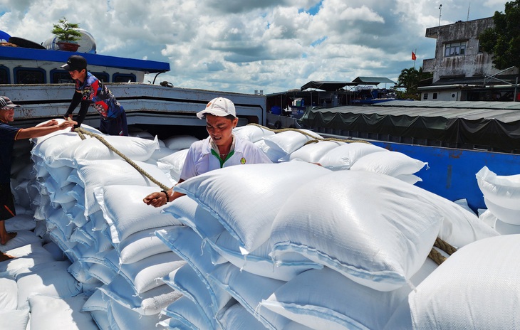 Thông tin cáo buộc tại Indonesia có thể gây ảnh hưởng tới việc xuất khẩu sang thị trường này - Ảnh: BỬU ĐẤU