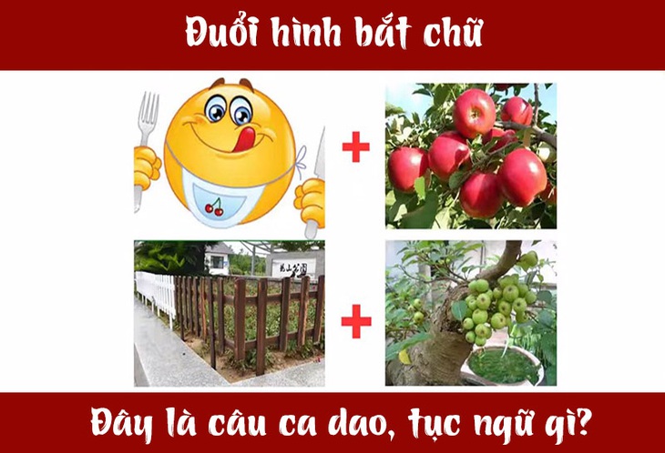 Câu ca dao, tục ngữ 'khó nhằn' này là gì? (P43)- Ảnh 3. Câu ca dao, tục ngữ 'khó nhằn' này là gì? (P43)- Ảnh 3.