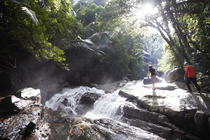 Những cánh rừng nguyên sinh ở Quảng Bình - Ảnh: HOÀNG TÁO