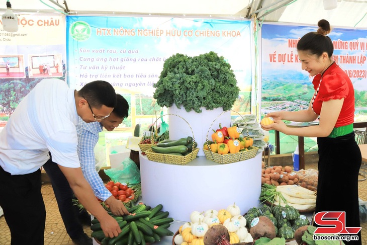 Vân Hồ nâng tầm sản phẩm đặc sản địa phương- Ảnh 2.