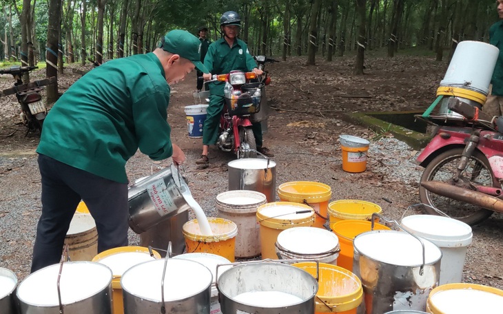 Kỳ tích cao su Việt: Anh linh liệt sĩ và 10.000ha cao su Việt đầu tiên ở Lào - Ảnh 5.