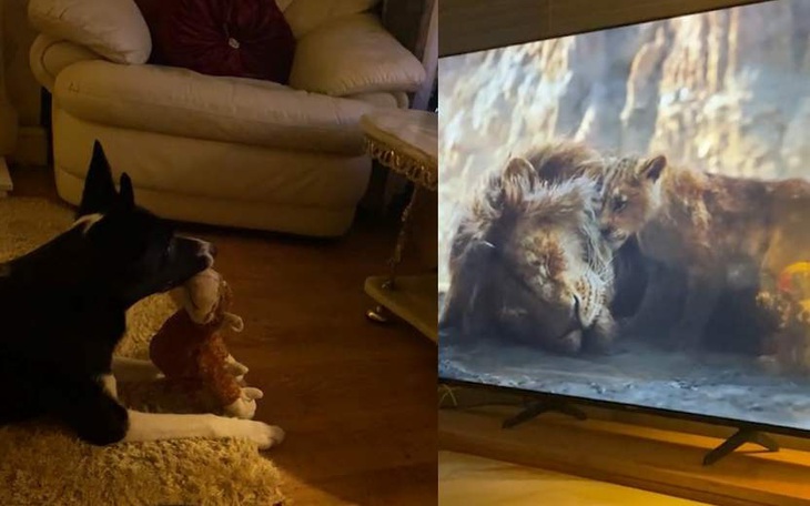 Đạo diễn phim hoạt hình kinh điển 'Vua sư tử' qua đời - Ảnh 4.